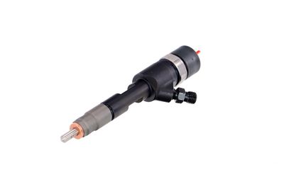 INJECTOR REMANTE 002003001168R 63