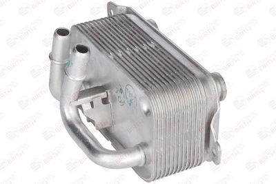 RADIATOR ULEI ULEI MOTOR BIRTH 8960 3