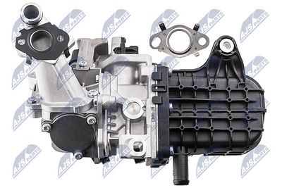 SUPAPA EGR NTY EGRPE019 3