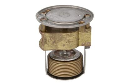Thermostaat koelsysteem (74°C)