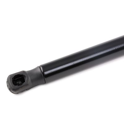 газов амортисьор, багажно/товарно пространство RIDEX 219G0269