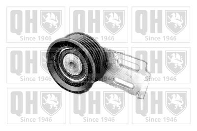 Rolka napinacza, pasek klinowy wielorowkowy QUINTON HAZELL QTA1015