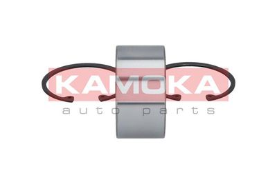 Wheel Bearing Kit 5600008