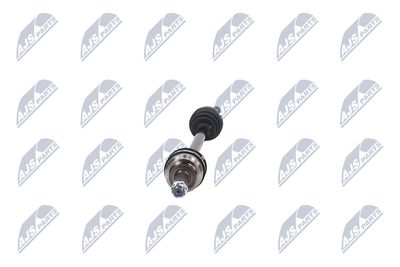 PLANETARA NTY NPWCH044 16