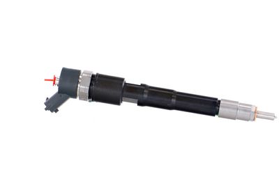 INJECTOR REMANTE 002003000156R 42