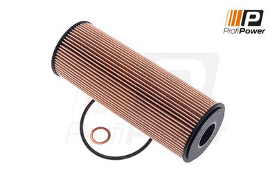 alyvos filtras 1F0069 ProfiPower