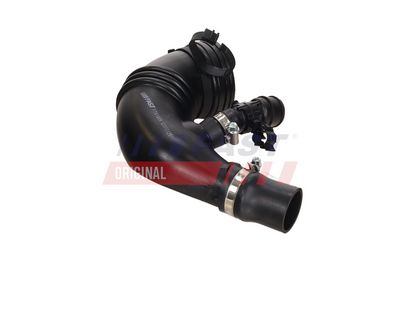 PALNIE FILTRU DE AER FAST FT61809 1