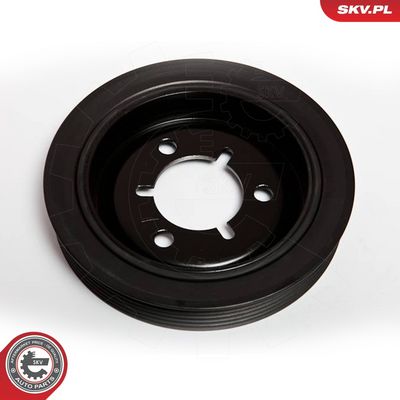 FULIE CUREA ARBORE COTIT ESEN SKV 95SKV310 1