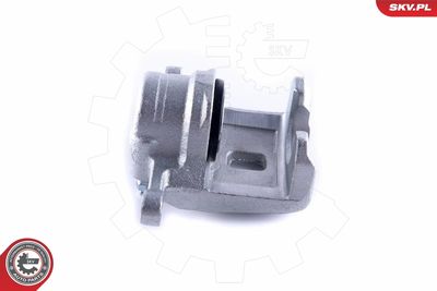 Brake Caliper 55SKV374