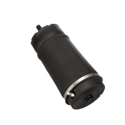 LUFTFEDER FAHRWERK Arnott A2831 56