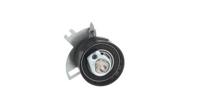 ROLA INTINZATOR CUREA DISTRIBUTIE SKF VKM13317 38