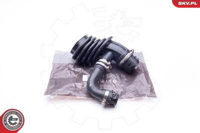 FURTUN EAR SUPRAALIMENTARE