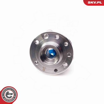 SET RULMENT ROATA ESEN SKV 29SKV035 3