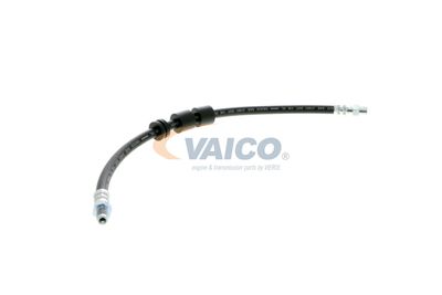 FURTUN FRANA VAICO V204105 45