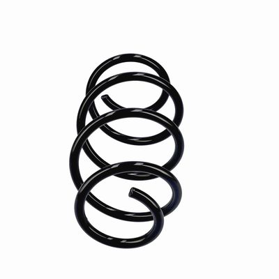 ARC SPIRAL EIBACH R20796 13