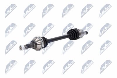 PLANETARA NTY NPWFR031 20