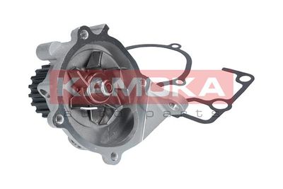 Water Pump, engine cooling T0179