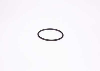 Seal Ring 1 900 210 145