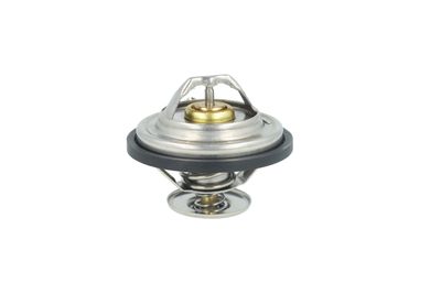 TERMOSTAT LICHID RACIRE NRF 725478 22