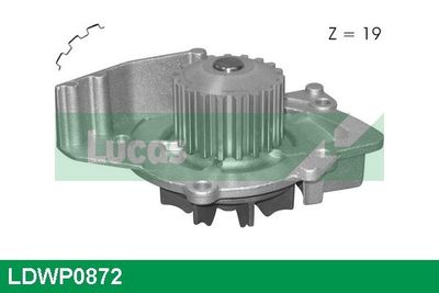 POMPă DE APă RăCIRE MOTOR LUCAS LDWP0872