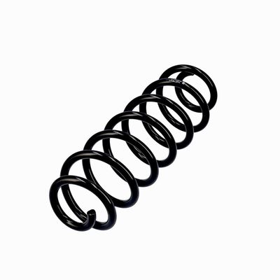 ARC SPIRAL EIBACH R10793 15