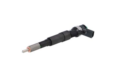 INJECTOR REMANTE 002003001184R 6