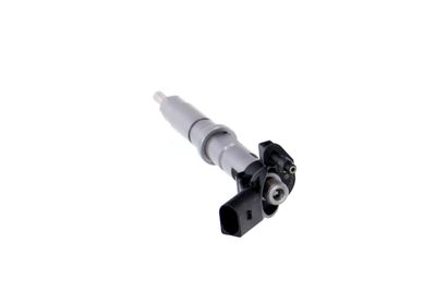 INJECTOR REMANTE 002003000165R 21