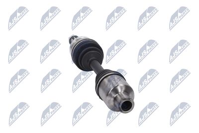 PLANETARA NTY NPWDW076 31