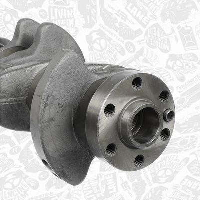 ARBORE COTIT ET ENGINETEAM HK0219 4