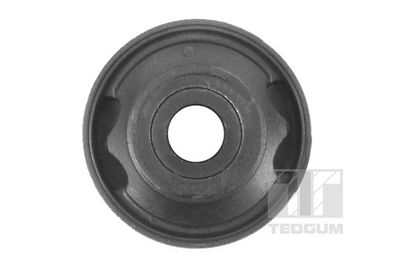 SUPORT TRAPEZ TEDGUM 00118099 2