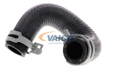 KüHLERSCHLAUCH VAICO V301096 19