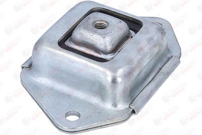 BUCSA PUNTE BIRTH 53920 11