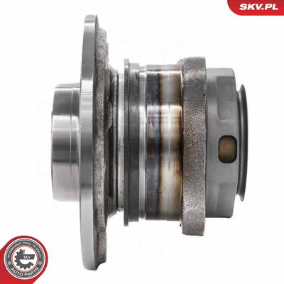 SET RULMENT ROATA ESEN SKV 29SKV708 3