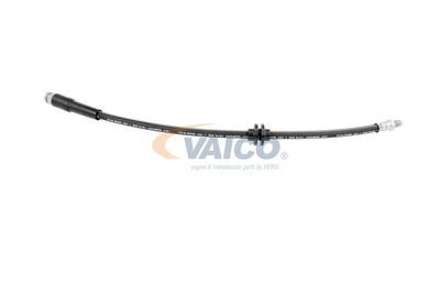 FURTUN FRANA VAICO V220628 27