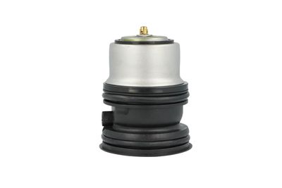 TERMOSTAT LICHID RACIRE NRF 725432 13