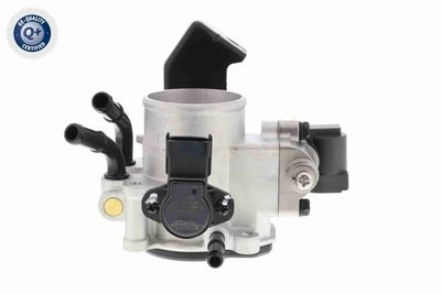 CARCASA CLAPETA ACKOJA A53810003 10