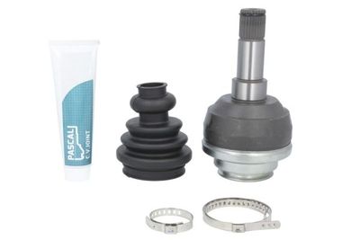 каре комплект, полуоска PASCAL G7W020PC