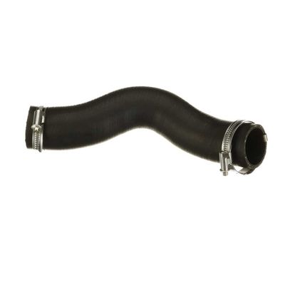 FURTUN EAR SUPRAALIMENTARE GATES 091609 26