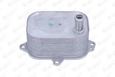 RADIATOR ULEI ULEI MOTOR BIRTH 80845 6