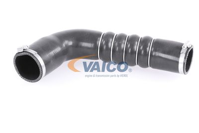 FURTUN EAR SUPRAALIMENTARE VAICO V103794 14