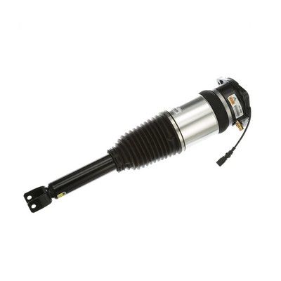 LUFTFEDERBEIN Arnott AS2968 62