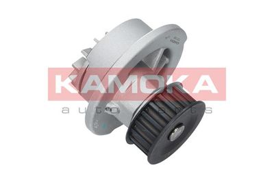 Water Pump, engine cooling T0108