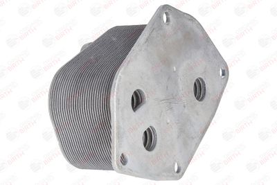 RADIATOR ULEI ULEI MOTOR BIRTH 80124 5