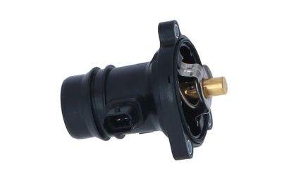 TERMOSTAT LICHID RACIRE NRF 725024 38