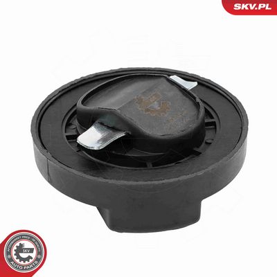 BUSON UMPLERE ULEI ESEN SKV 61SKV046 3