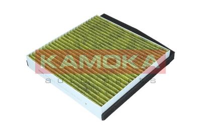 Filter, cabin air 6080089