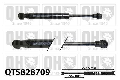 PERNA AER PODEA DE INCARCARE (PORTBAGAJ)