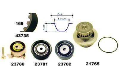 SET POMPA APA + CUREA DINTATA