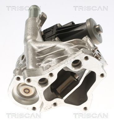 SUPAPA EGR TRISCAN 881310118 2