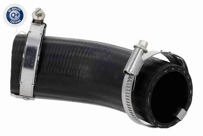 FURTUN EAR SUPRAALIMENTARE ACKOJA A520878 2